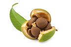 Camellia Oleifera Seed Oil