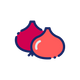 Red Onion Extract